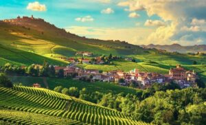 Exploring Wine Tourism: Combining Travel and Vineyard Adventures