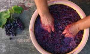 a wine maker preparing grapes in a brown dish in winemaking 