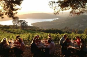 The Iconic Wine Routes: The Most Scenic Wine Tours in the World