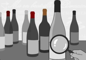 The Language of Wine: Decoding Wine Labels and Terminology