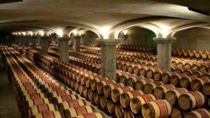 Unlocking the Secrets Behind Vintage Wines