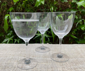 one of the types of wine glasses and green plants in the background