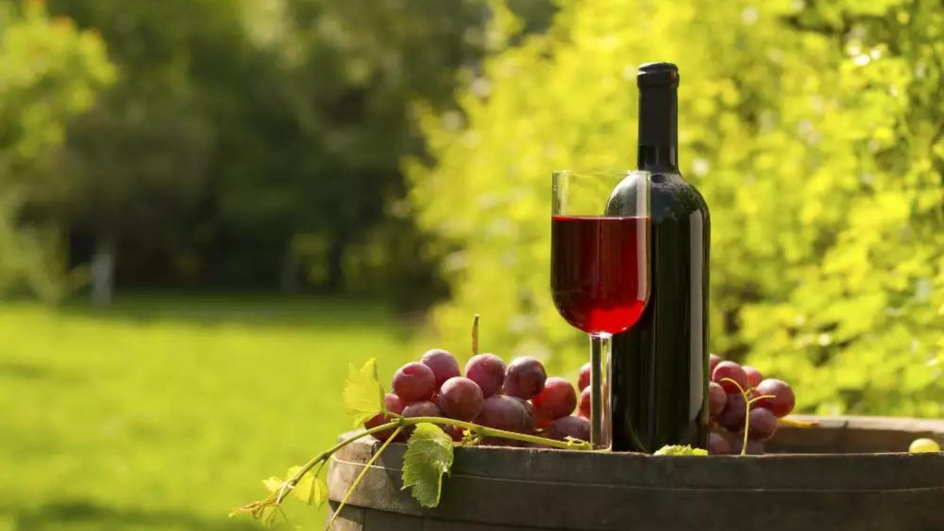 A bottle of wine, a glass with wine and grapes on a bucket showing sustainability in winemaking