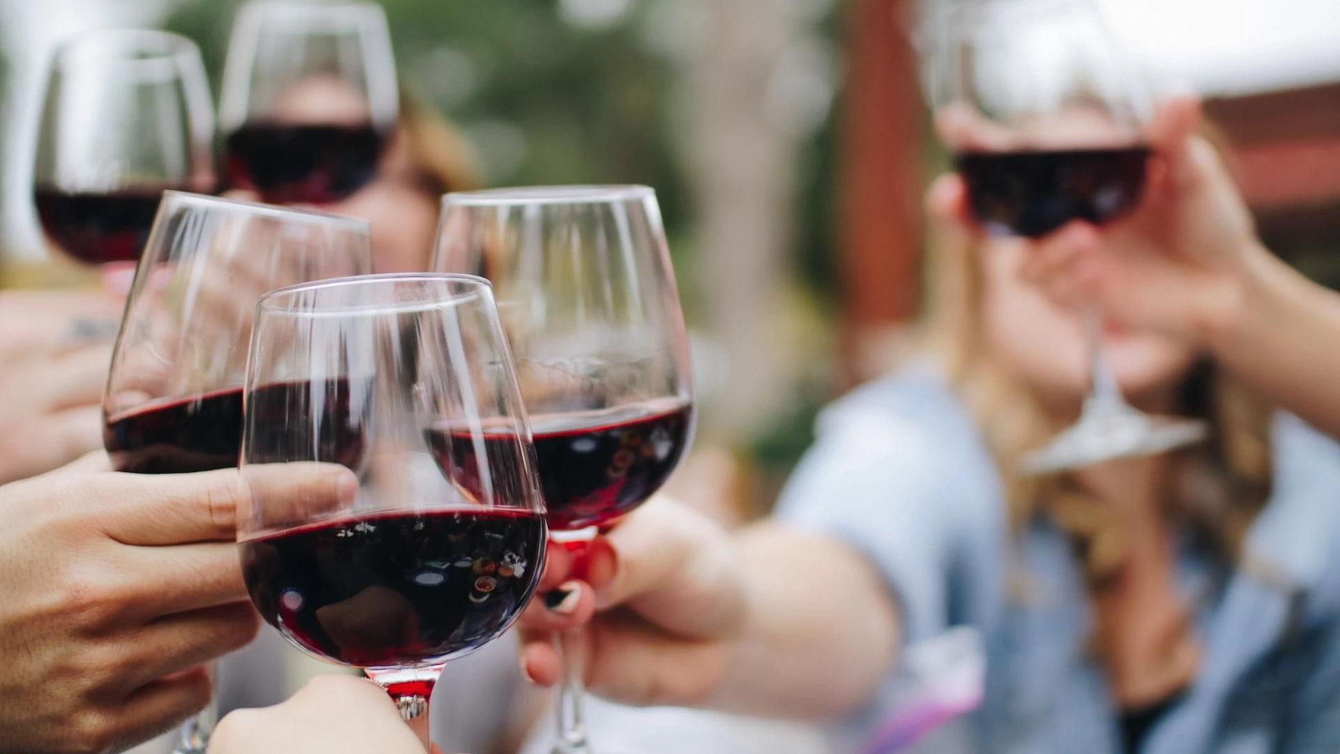 People holding wine glasses showing the best Sustainable Wine Practices