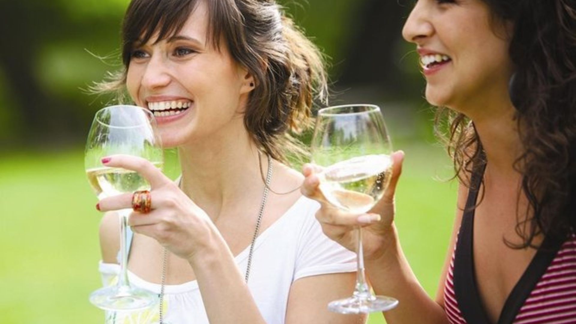 2 ladies holding glasses of wine showing Wine Tasting at Home